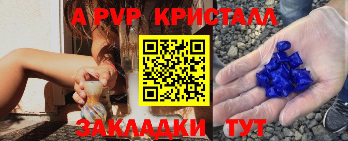 A PVP СК Камышин