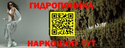 молекула духа Будённовск