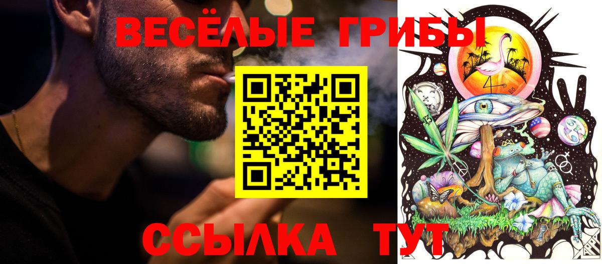 Псилоцибиновые грибы мухоморы Камышин
